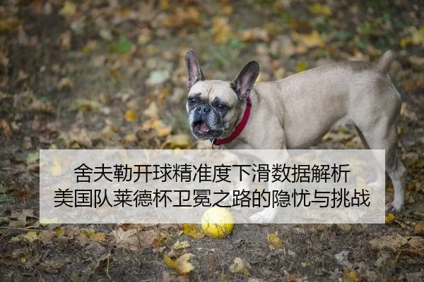 舍夫勒开球精准度下滑数据解析 美国队莱德杯卫冕之路的隐忧与挑战